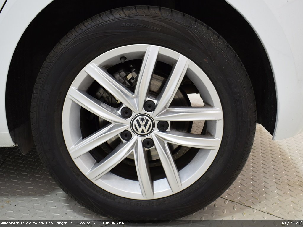 Volkswagen Golf Advance 1.6 TDI 85 kW (115 CV) Diésel de ocasión 10